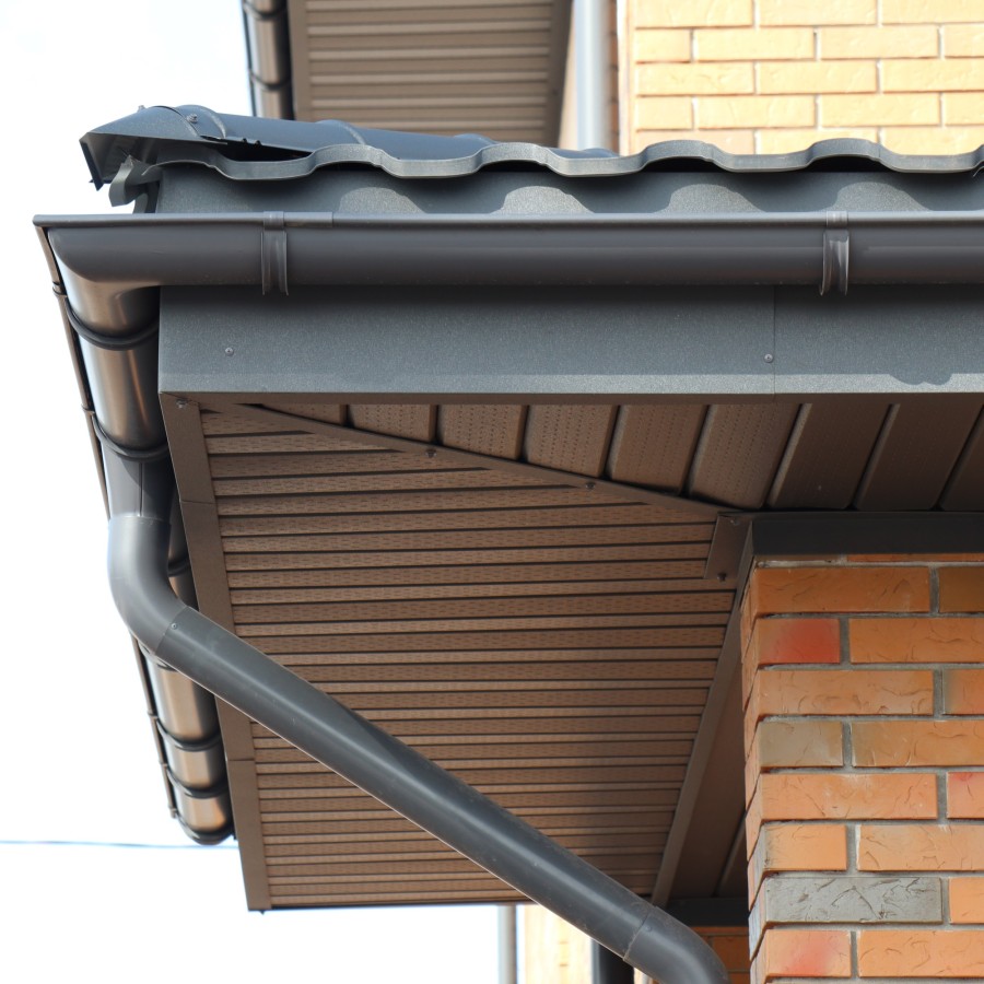 IMG_0020_1